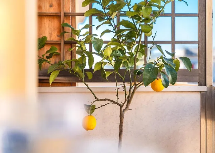 아파트 Flat Gentile, Sorrento, Floor 2br Flat, Balcony